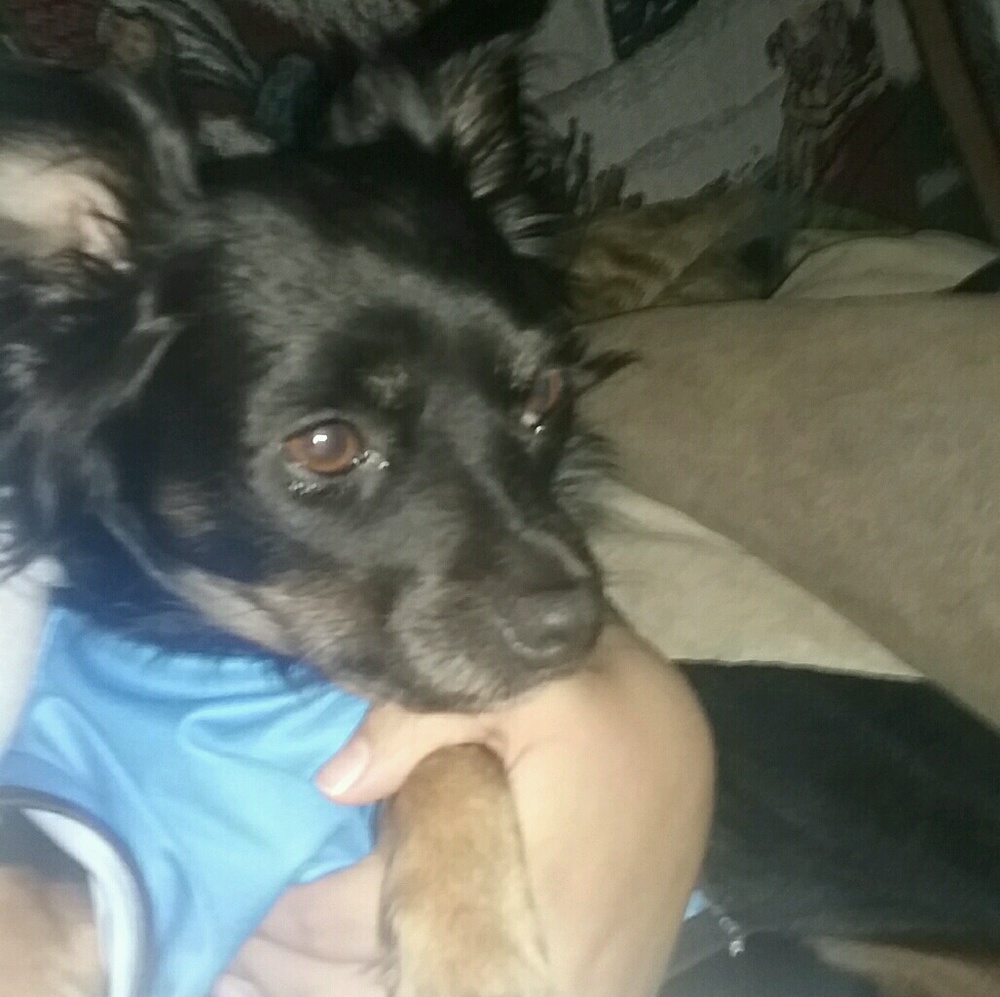 Meet your Posher, Elisa